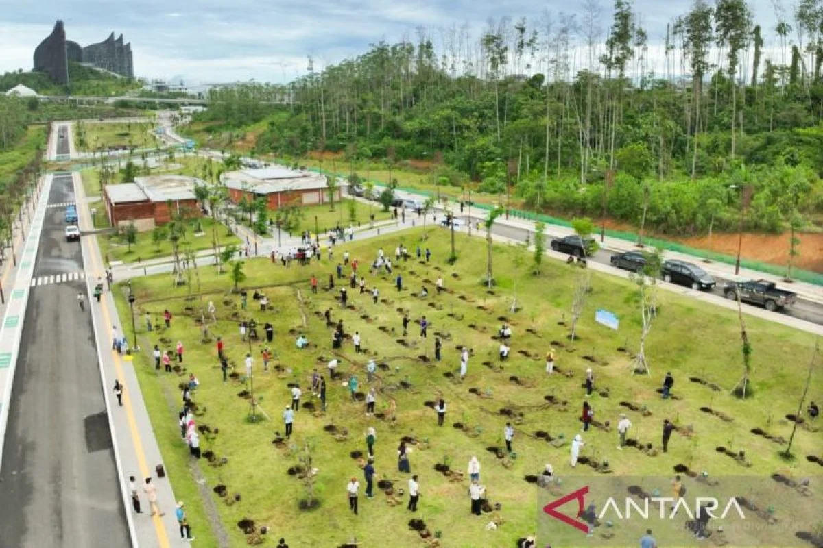 Otorita IKN, UGM, dan Pamapersada Tanam Pohon di Kawasan Wanagama