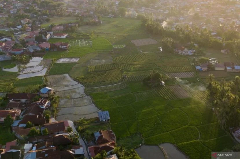 Pemkot Padian Tegaskan Keseimbangan Lahan Pertanian dan Investasi