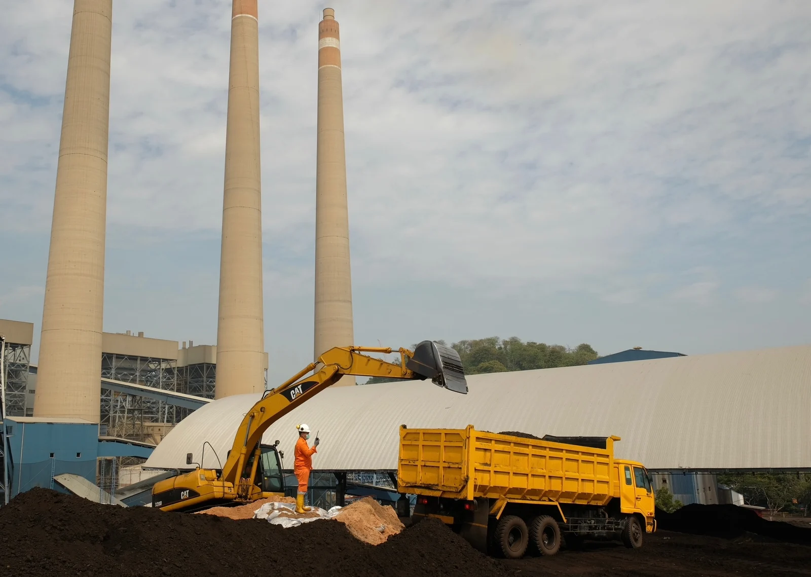 Penggunaan 10 Juta Ton Biomassa Diproyeksikan Hasilkan Nilai Ekonomi Rp 11 Triliun dan Turunkan Emisi CO2