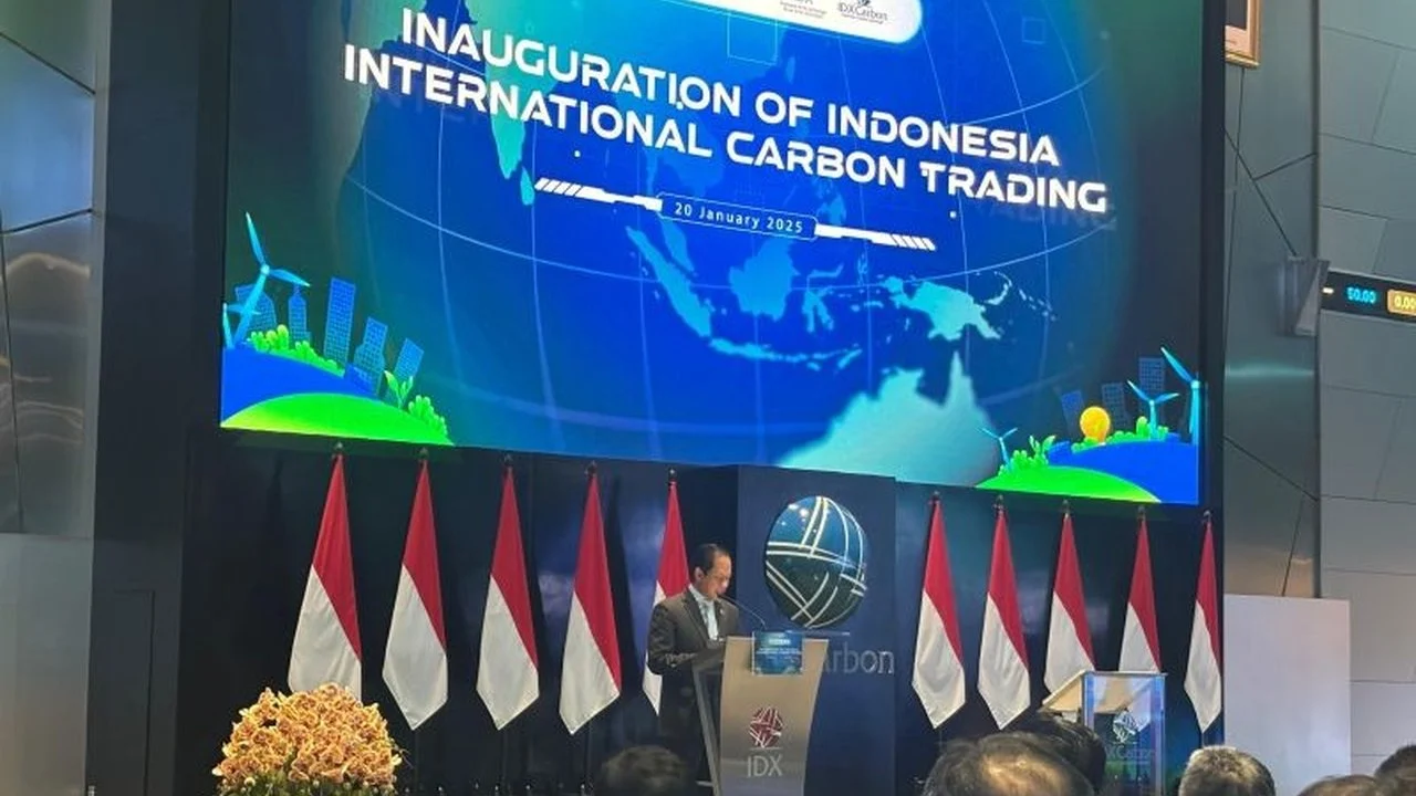Perkuat Tata Kelola Karbon Nasional, Indonesia Luncurkan Sistem Registri Unit Karbon Bulan Depan