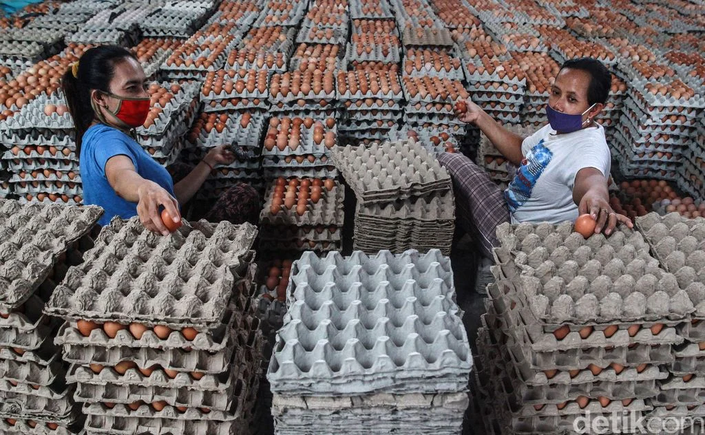 Peternak Menjerit, Bupati Blitar Usul Penyerapan Telur MBG Lewat Kopdes Merah Putih