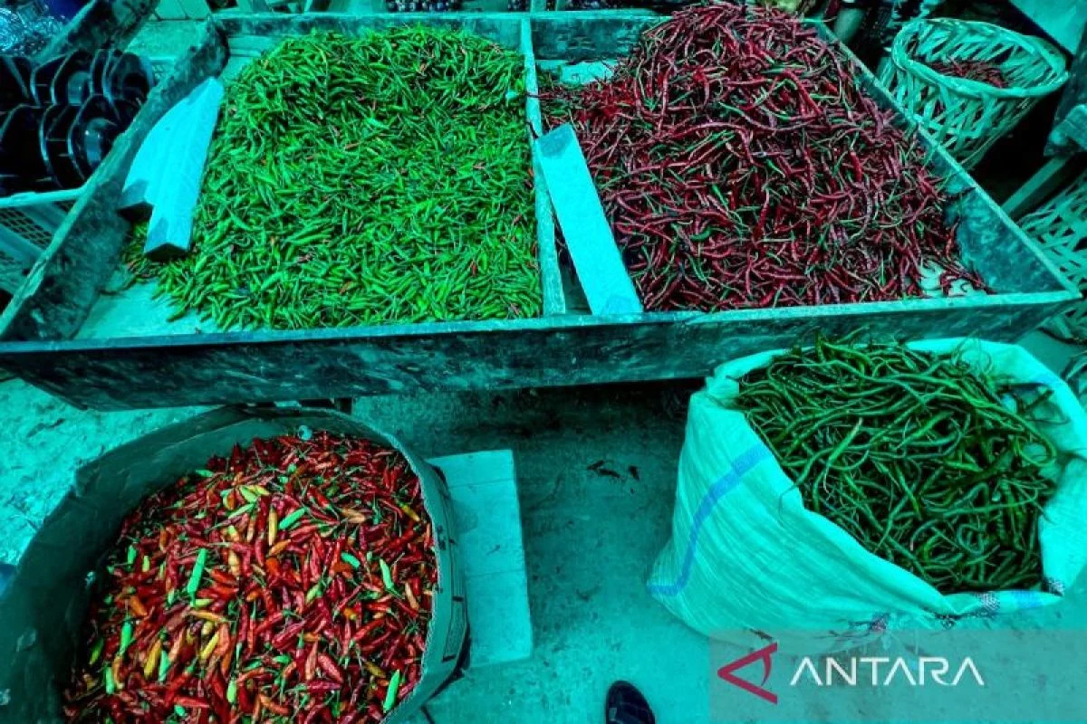 PIHPS Umumkan Harga Cabai Rawit Rp68.000/kg dan Telur Ayam Rp28.500/kg