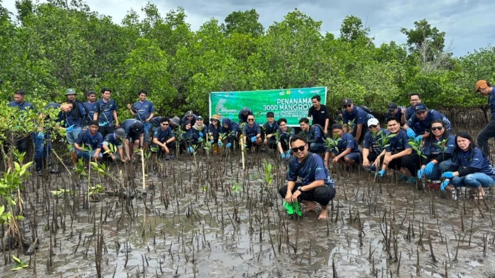 PLN IP tanam ribuan pohon, peringati Hari Lingkungan Hidup Sedunia