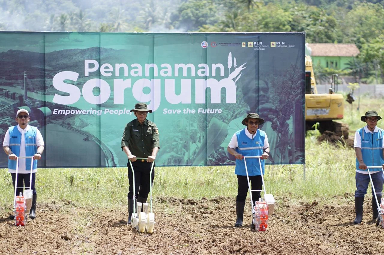 PLTU Pelabuhan Ratu Mulai Pakai Biomassa Serbuk Sorgum sebagai Co-firing