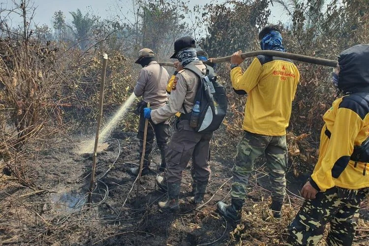 Polisi Aceh Percepat Penangkapan Pelaku Pembakaran Hutan dan Lahan