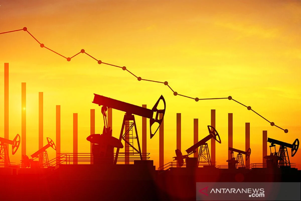 Redanya Konflik AS-Iran Jadi Pemicu Anjloknya Harga Minyak Dunia di Bawah USD 80 per Barel