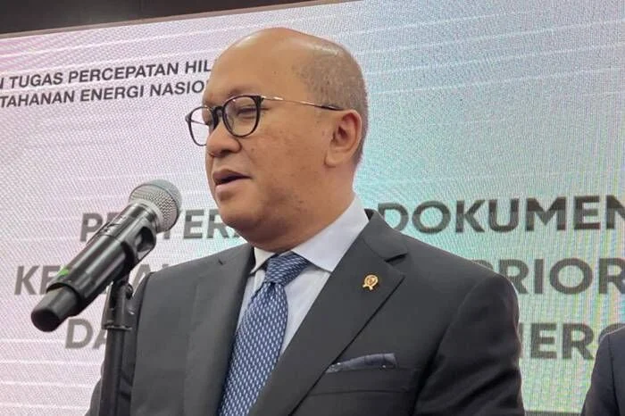Rosan Minta Tambahan Anggaran Rp 578,9 Miliar untuk Capai Target Investasi Rp 2.322 Triliun 2027