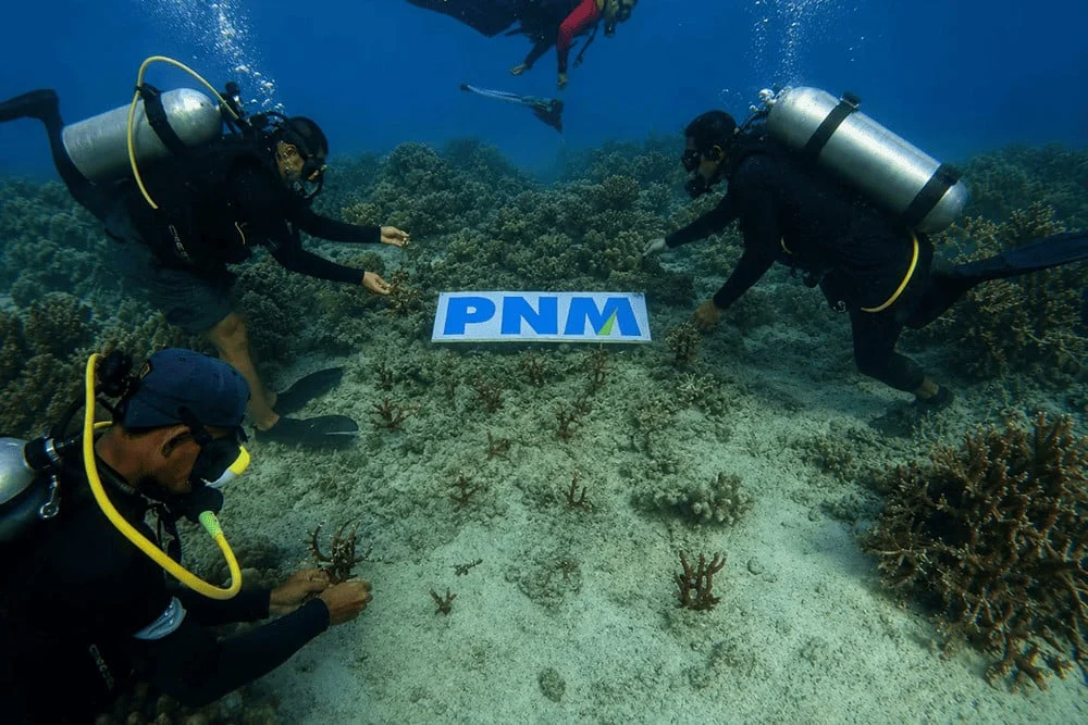 Upaya PNM Hadirkan Masa Depan Anak-Anak Lewat Pelestarian Laut