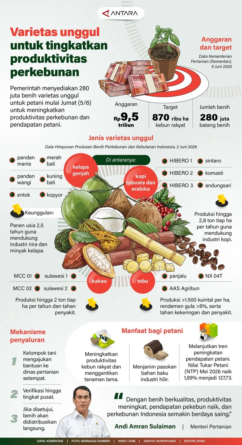 Varietas Unggul untuk Tingkatkan Produktivitas Perkebunan