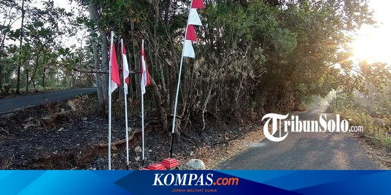 Viral Kopdes Merah Putih di Hutan Wonogiri, Camat Ungkap Lokasi Asli