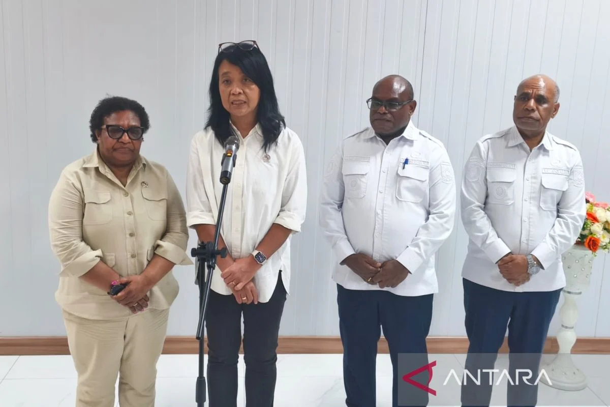 Wamen PU: Irigasi Tingkatkan Produktivitas Pertanian Papua Tengah