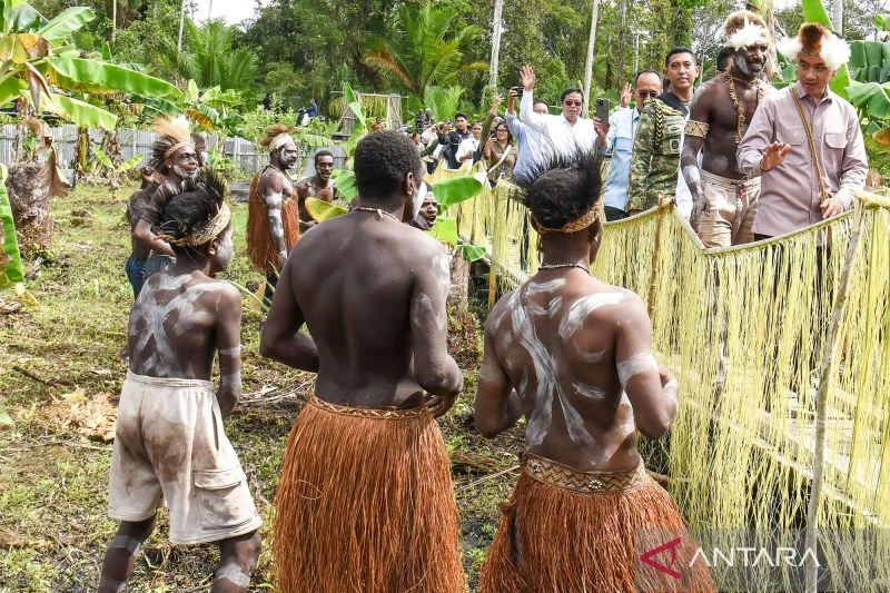 Wapres Gibran Dukung Penguatan Komoditas Pangan Lokal Papua lewat Sekolah Lapang Sagu