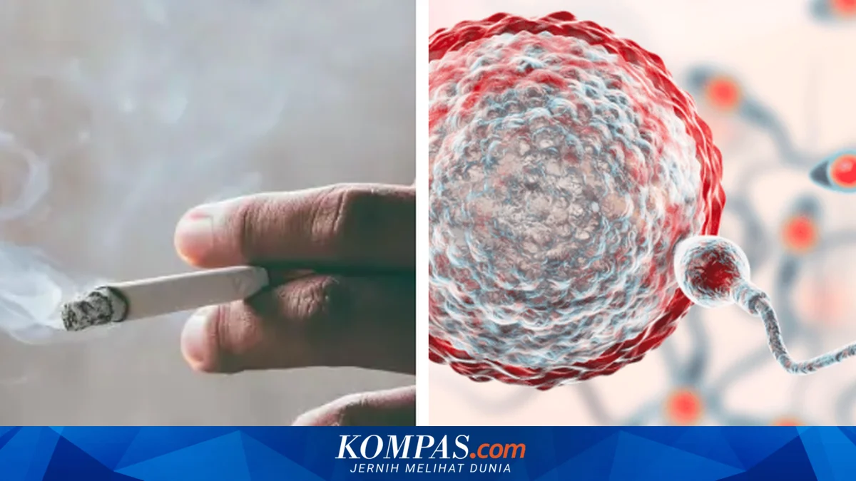 Banyak Pria Tak Sadar! Kebiasaan Ini Diam-Diam Merusak Kualitas Sperma