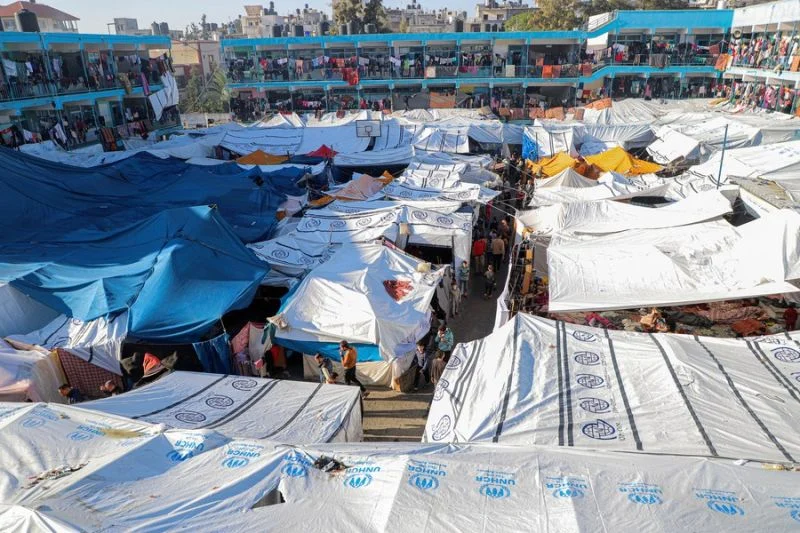 Berbalas Pesan dari Lapangan Hijau dan Tenda Pengungsi di Gaza