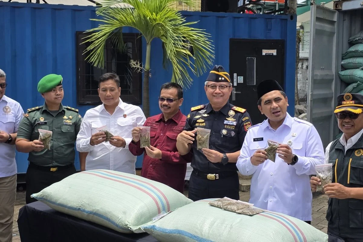 BNN dan Bea Cukai Bongkar Penyelundupan 3,37 Ton Ganja di Pelabuhan Tanjung Priok