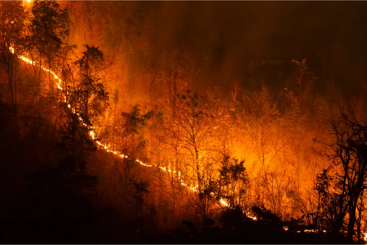 BPBD Magetan Petakan Wilayah Potensi Kebakaran Hutan dan Lahan Saat Musim Kemarau 2026