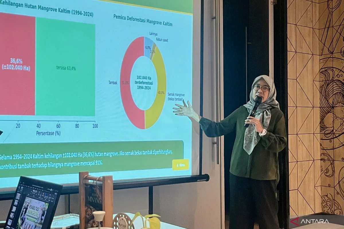BPDAS Mahakam Berau: Rehabilitasi Mangrove Perlu Dilakukan Terpadu