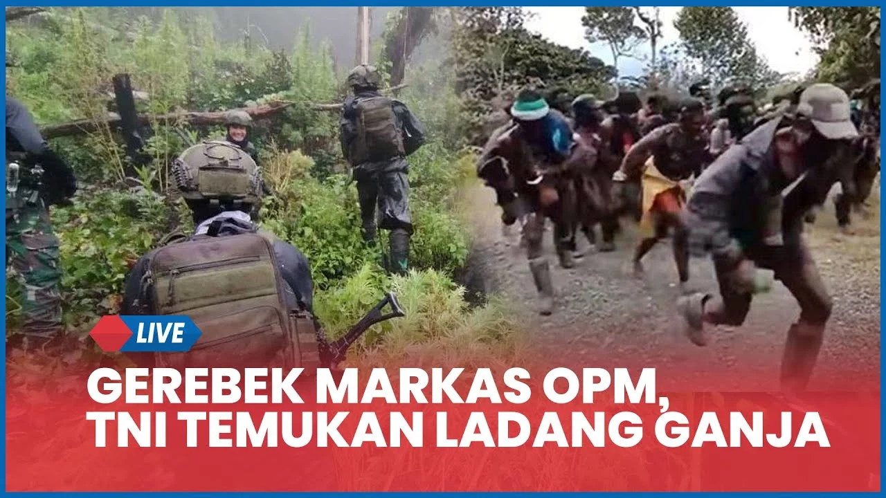 Diduga Jadi Lokasi Transit OPM, Koops TNI Habema Temukan Senpi dalam Honai di Kampung Abundoga, Intan Jaya