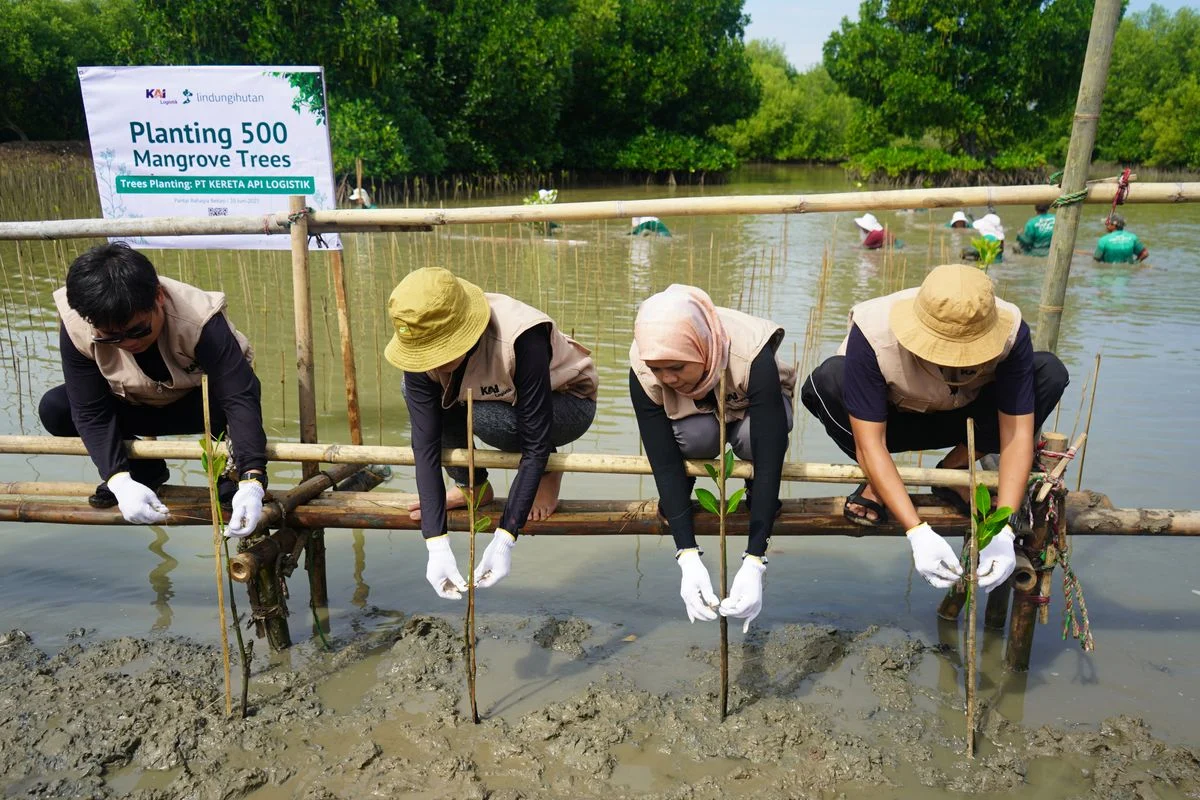 Industri Kehutanan Siap Dorong Pengelolaan Mangrove Berkelanjutan