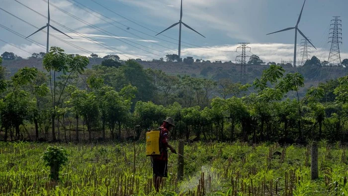 Kapasitas PLTB Sidrap Ditingkatkan menjadi 175 MW
