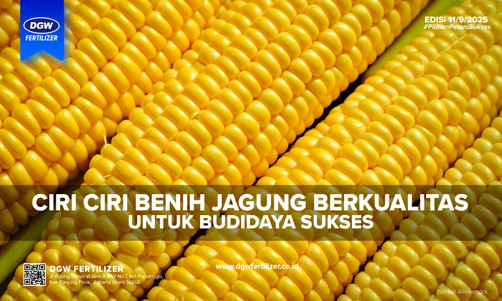 Kementerian Pertanian Dukung Perbanyakan Benih Jagung Berkualitas untuk Keamanan Pangan