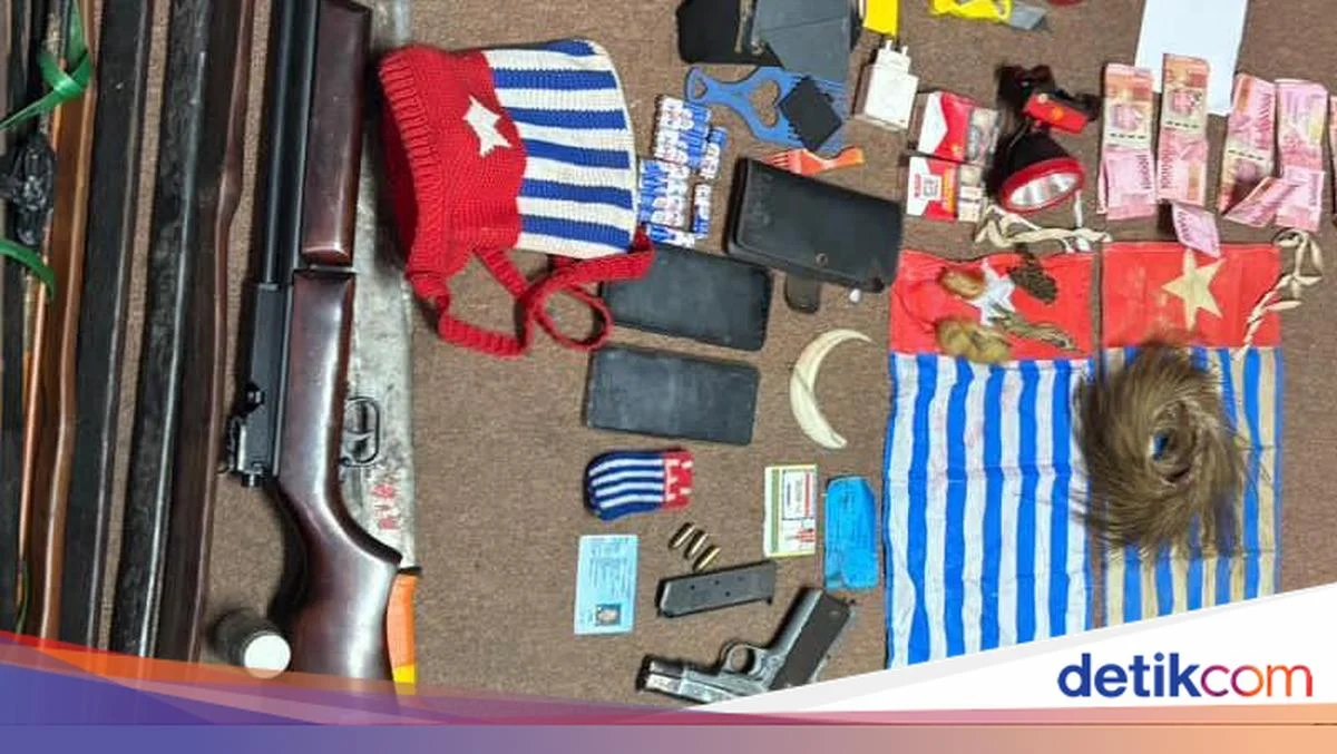 Komnas HAM: Ibu Hamil Tewas Akibat Tembakan TNI dan OPM di Intan Jaya