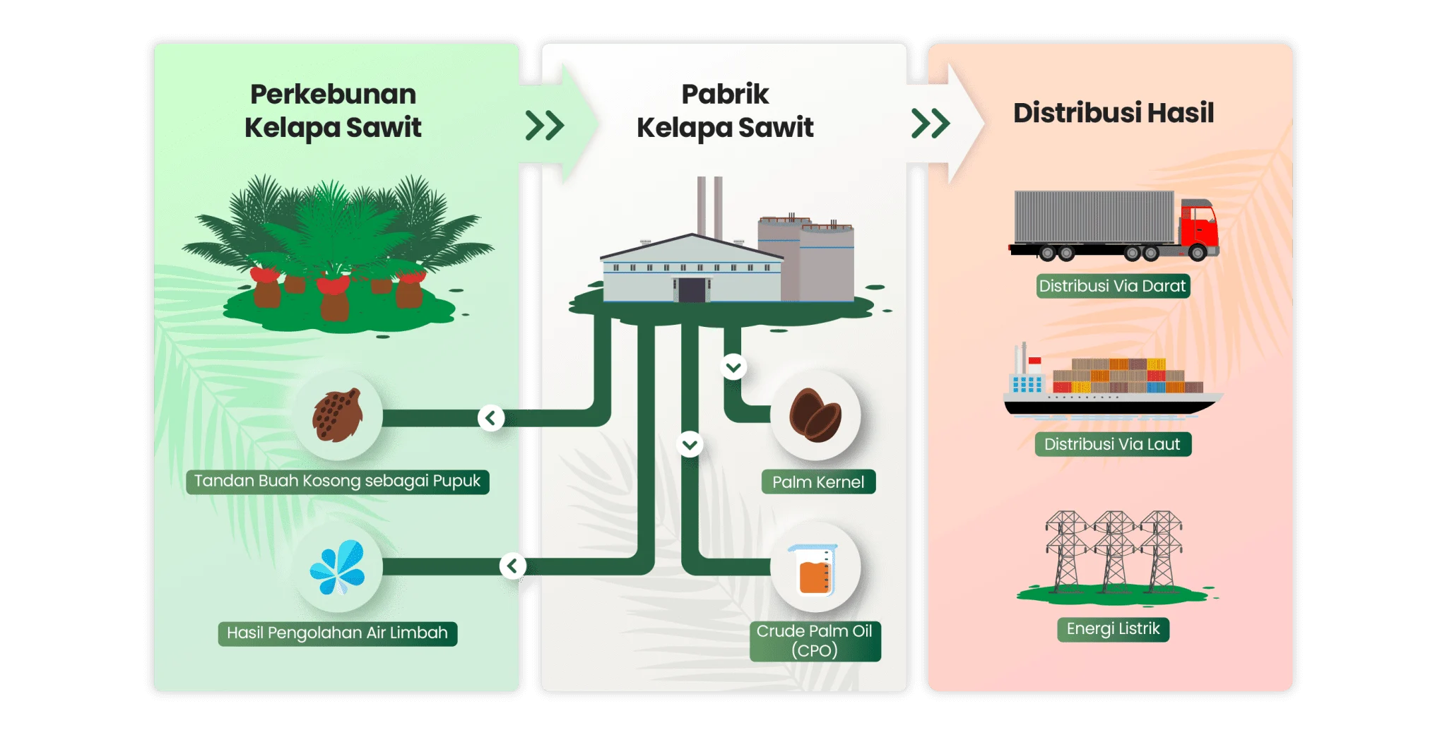 Menkop Ferry Jelaskan Skema Koperasi Kelola Kebun Sawit dan Bangun Pabrik CPO