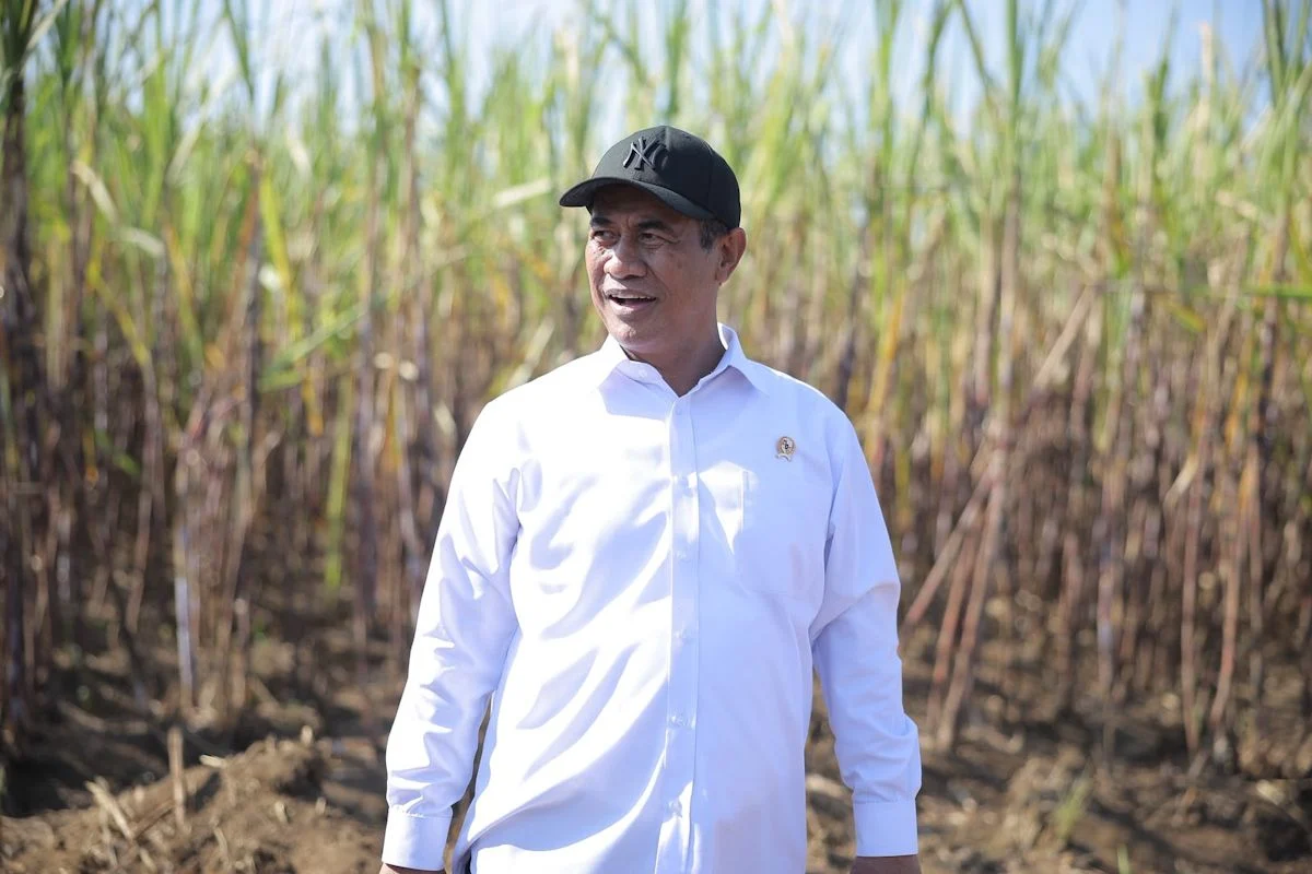 Menteri Pertanian Siap Percepat Peremajaan Tebu demi Swasembada Gula