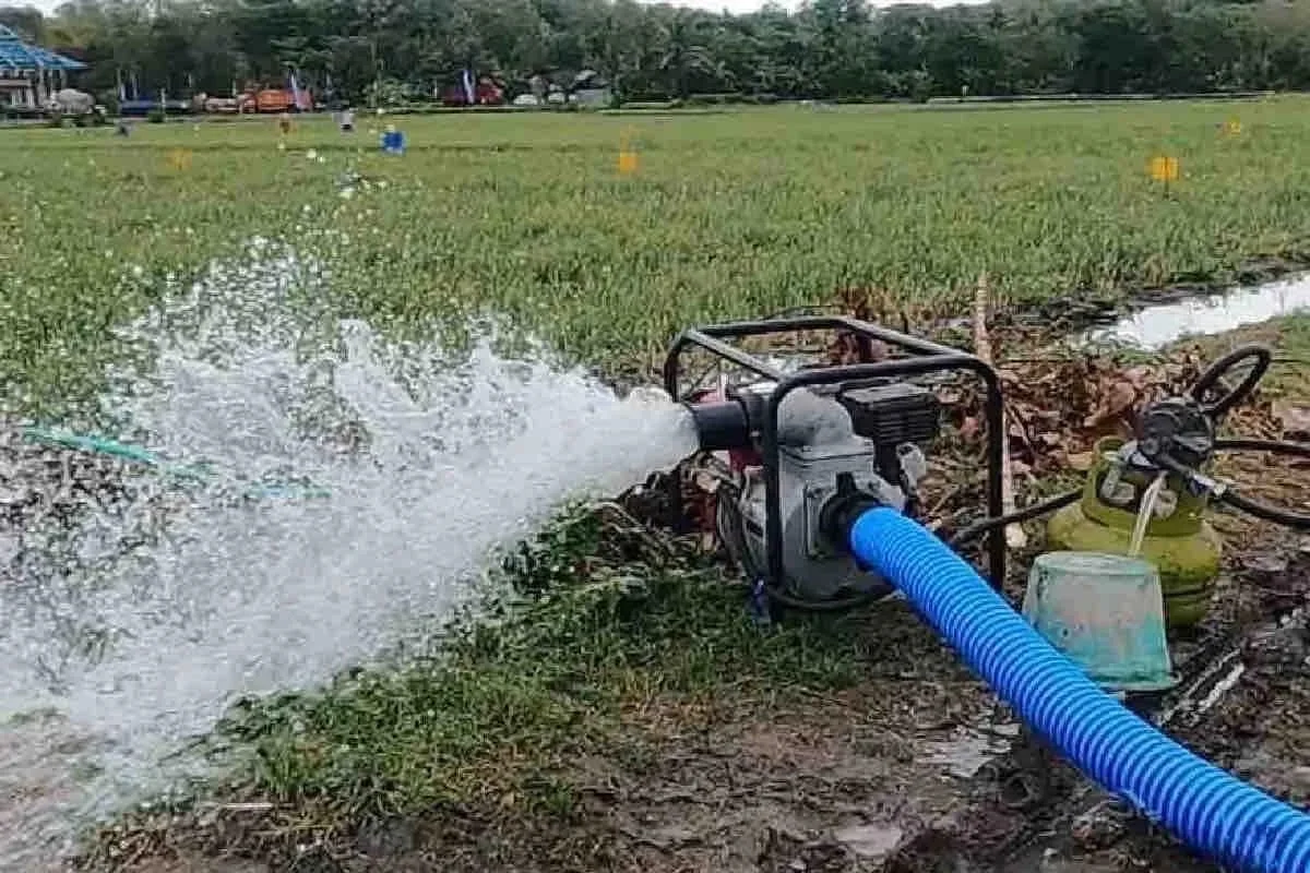Menteri Pertanian Siapkan 7.000 Pompa Air untuk Bantu Petani di Jawa Tengah Atasi Kekeringan