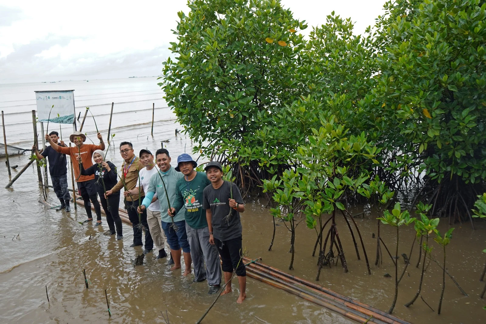 NHM Perkuat Agenda ESG lewat Konservasi Mangrove dan Penguatan Ekonomi Komunitas Pesisir