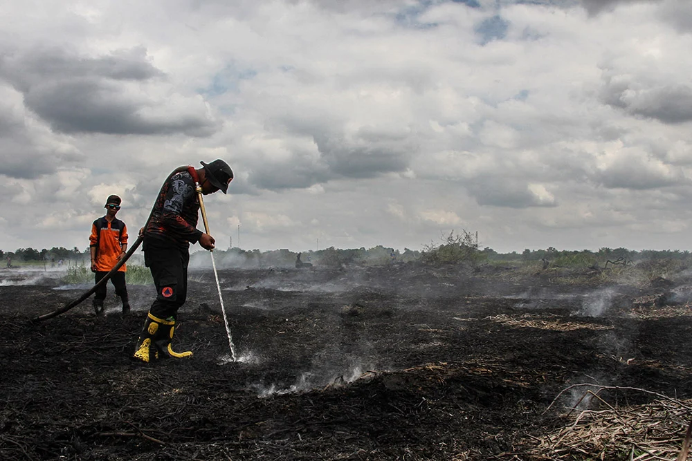 Palangka Raya Terancam Kebakaran Hutan, Upaya Pemadaman Lahan Gambut di Bukit Intensif
