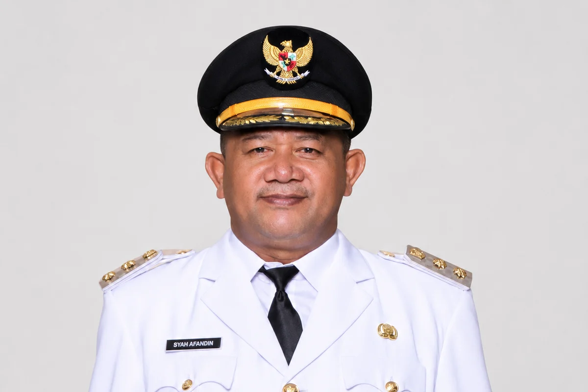 PAN Nonaktifkan Syah Afandin dari Jabatan Ketua DPW Sumut Usai Terjaring OTT KPK