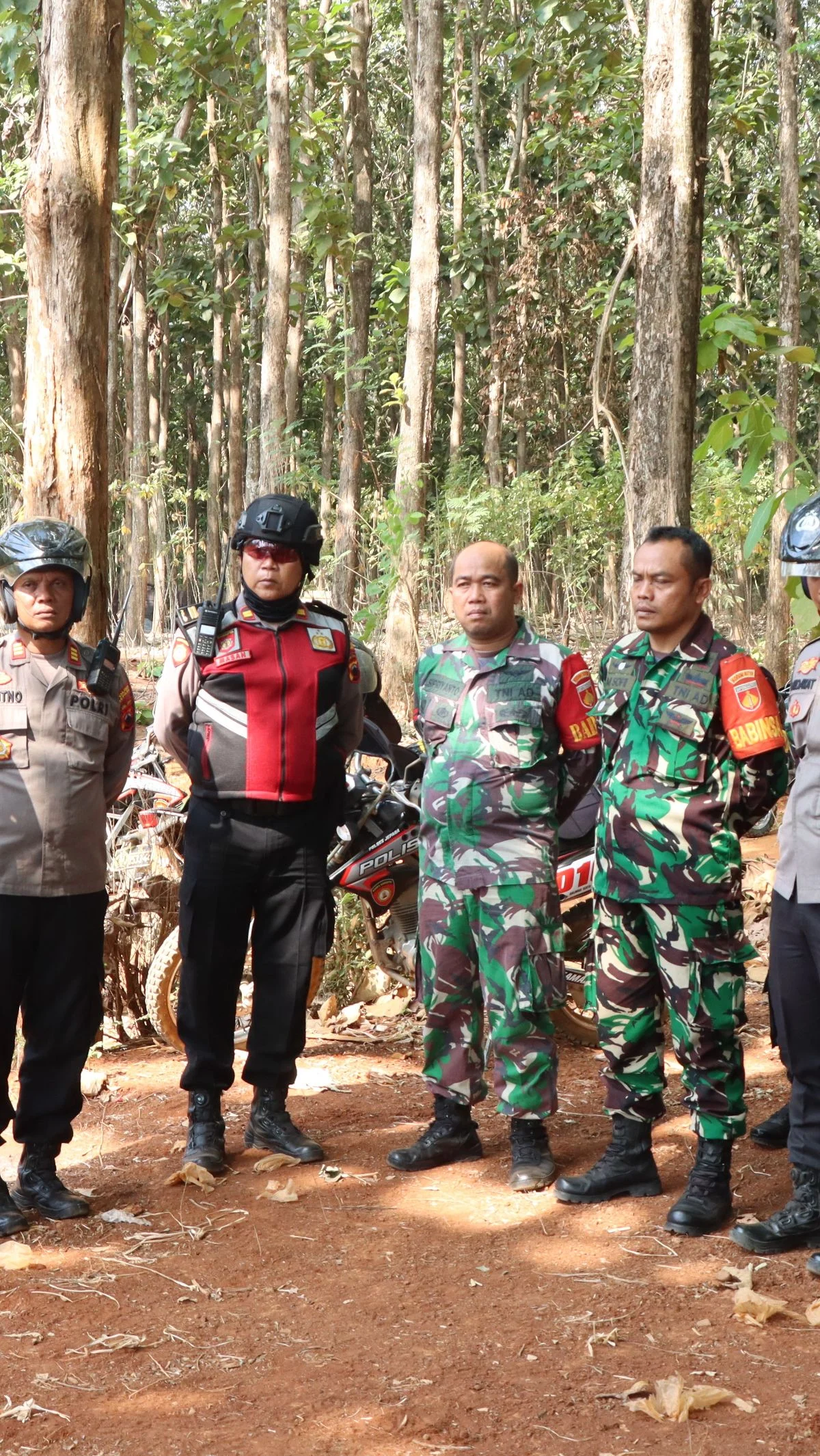 Peringatan TNI kepada KKB: Tinggalkan Hutan, Letakkan Senjata, atau Akan Ditindak Tegas