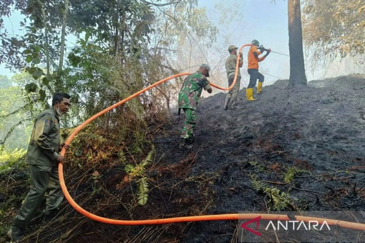 Petugas Gabungan Lokalisasi Kebakaran Hutan dan Lahan Seluas 4,5 Hektare di Tarakan