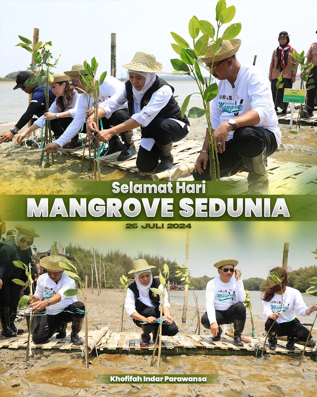 PNM Hadirkan Dampak Berantai bagi Lingkungan dan Ekonomi Pesisir pada Hari Mangrove Sedunia