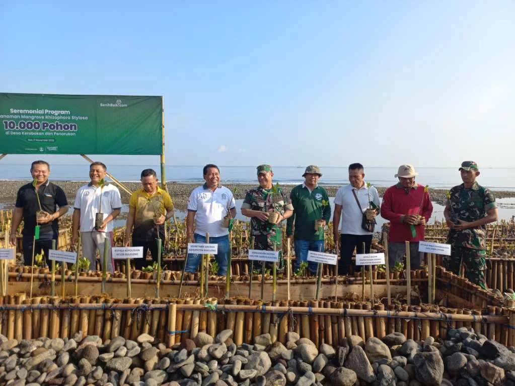 Ribuan Bibit Mangrove Ditanam di Bali oleh Kemen LH, KKP, dan Gubernur