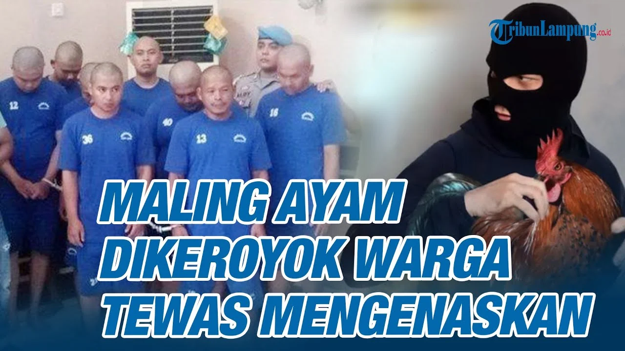 Sesalkan Maling Ayam Tewas Dikeroyok di Bali, DPR Ingatkan Larangan Main Hakim Sendiri