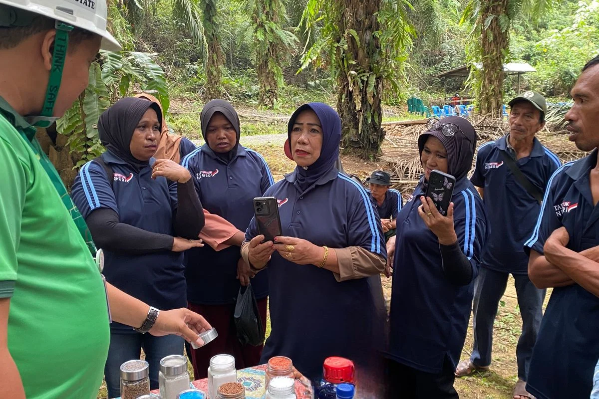 TAP Untuk Negeri Perkuat Produktivitas Petani Sawit Dukung Program B50