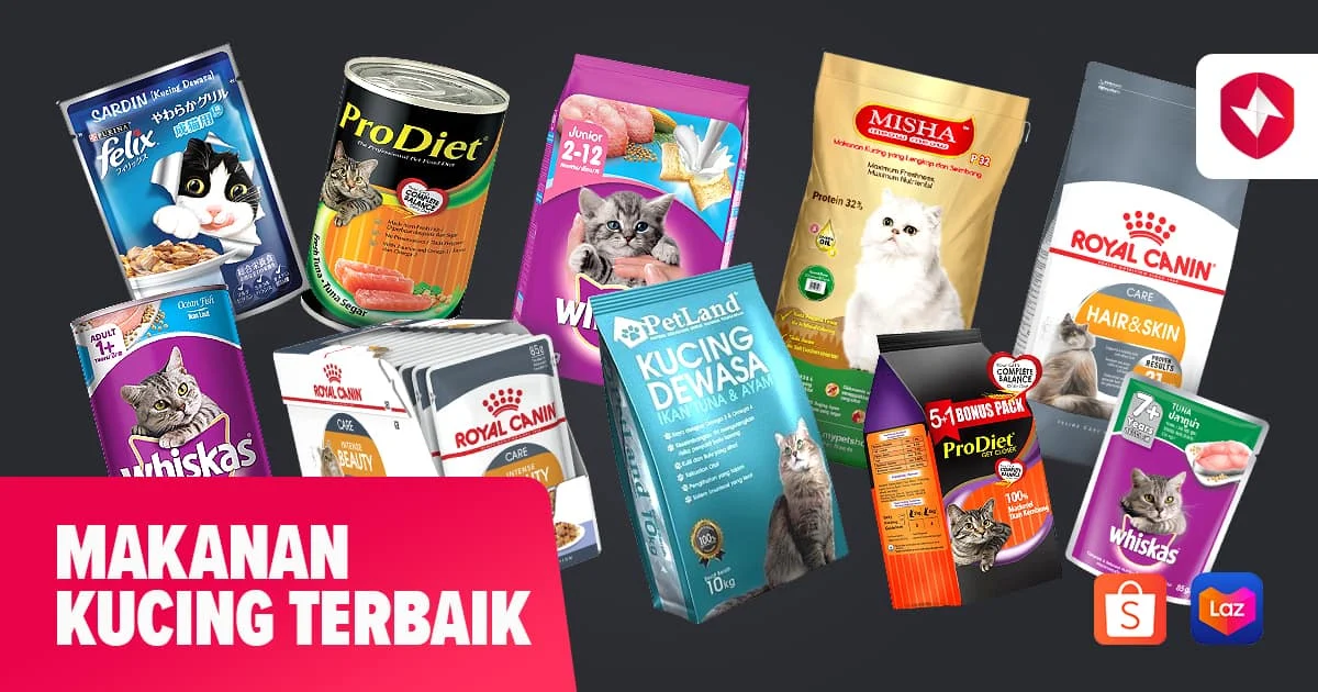 10 Makanan yang bagus untuk bulu kucing agar tetap lebat dan berkilau