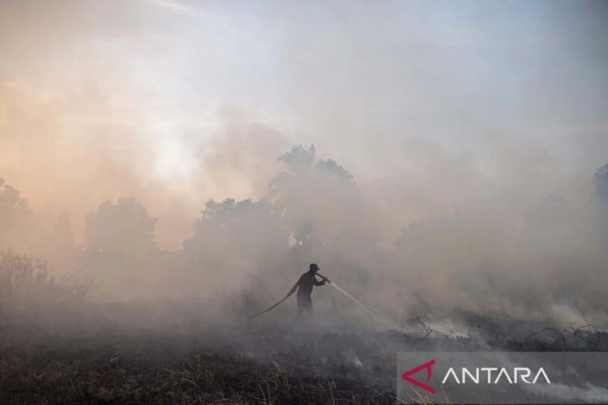 107 Ribu Hektare Lahan Terbakar, Pemerintah Pastikan Tak Ada Asap ke Negara Tetangga