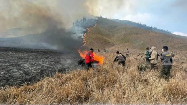 2 Titik Api Masih Menyala, BNPB Ungkap Kendala Pemadaman Karhutla di Gunung Bromo
