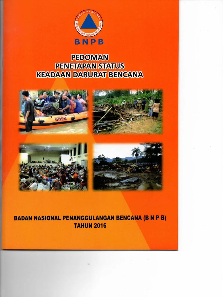 6 Provinsi dalam Keadaan Kritis Akibat Karhutla, BNPB Teruskan Pemadaman di Kawasan TNBTS