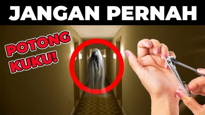 7 Mitos tentang Kucing yang Masih Dipercaya Masyarakat Indonesia