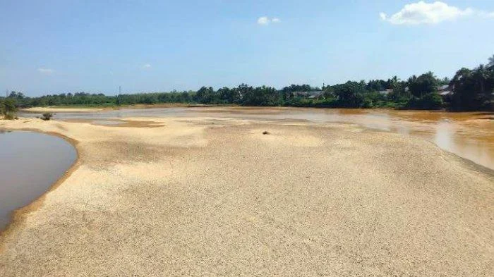 Air Sungai Batang Tembesi Surut, Hamparan Pasir Muncul Akibat Kemarau di Jambi