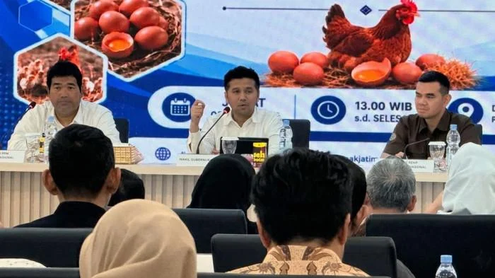 Harga Telur Belum Capai HAP, SPPG Wajib Serap Harga Rp 26.500 per Kilogram
