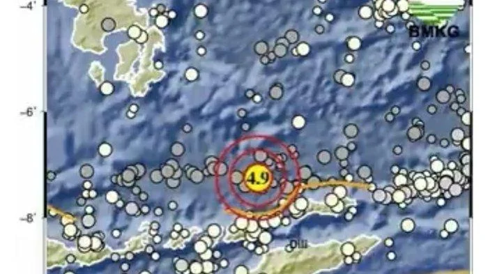 Jalur Laut Ditempuh, Logistik Gempa NTT Rp1,2 Triliun Berlayar ke Ende