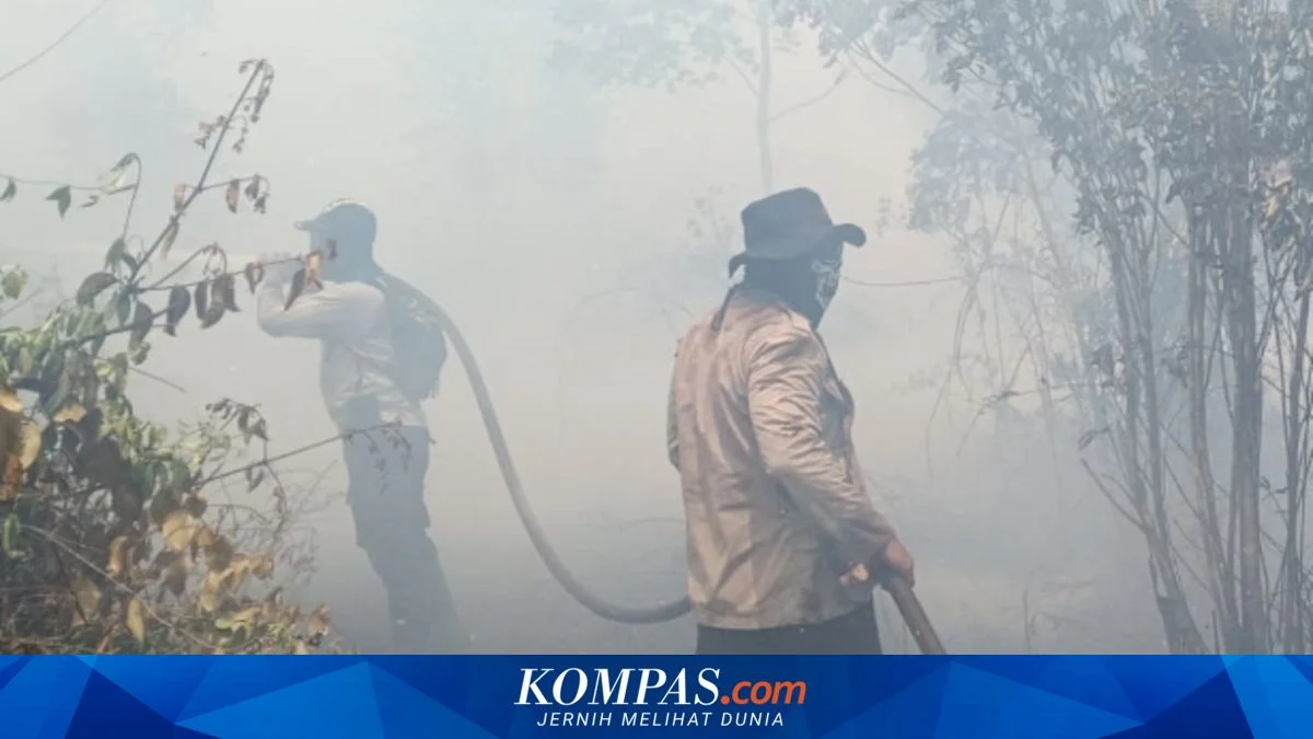 Karhutla Riau Meluas hingga 15.608 Ha, Bengkalis Menjadi Daerah Paling Terkena