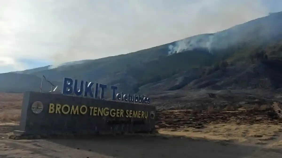 Kawasan Gunung Bromo Dilanda Kebakaran, Dua Pintu Masuk Wisata Ditutup