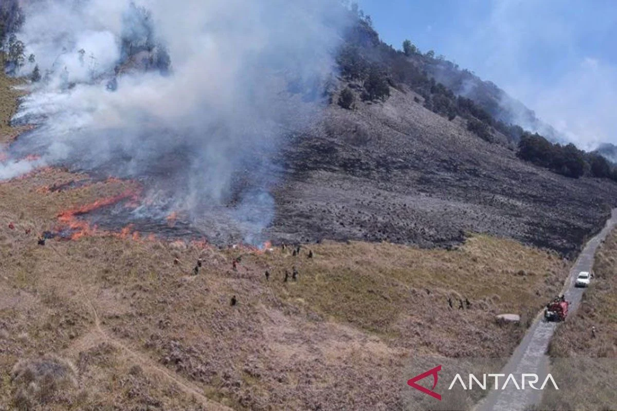 Kebakaran di Taman Nasional Bromo Tengger Semeru: 520 Hektare Lahan Terbakar