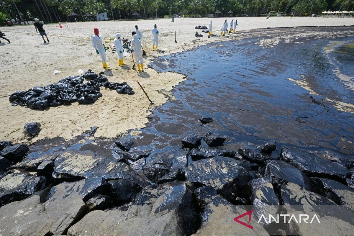Kemenhub Ungkap Kronologi dan Penanganan Terbakarnya KM Mutiara Sentosa II di Utara Sumenep